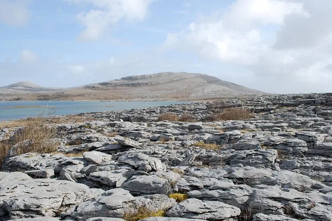 Bustour: Cliffs of Moher, Burren & Galway