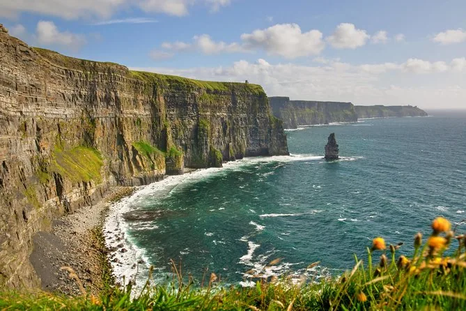 Die lange Linie der Cliffs of Moher und ein Brandungspfeiler, mit gelben Blumen im Vordergrund
